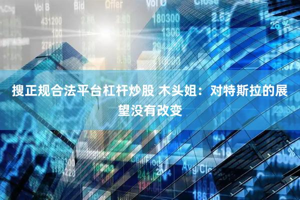 搜正规合法平台杠杆炒股 木头姐：对特斯拉的展望没有改变