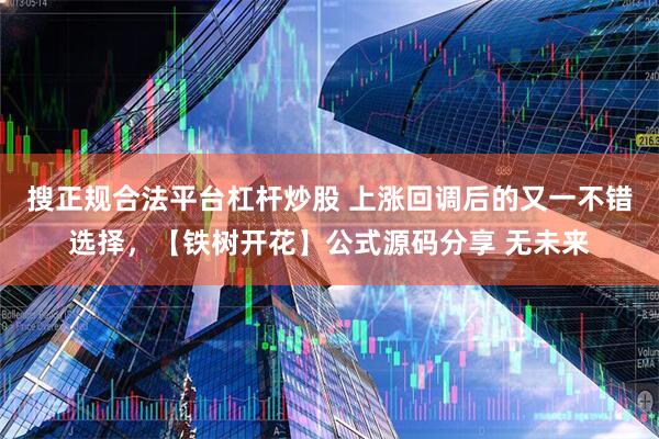 搜正规合法平台杠杆炒股 上涨回调后的又一不错选择，【铁树开花】公式源码分享 无未来