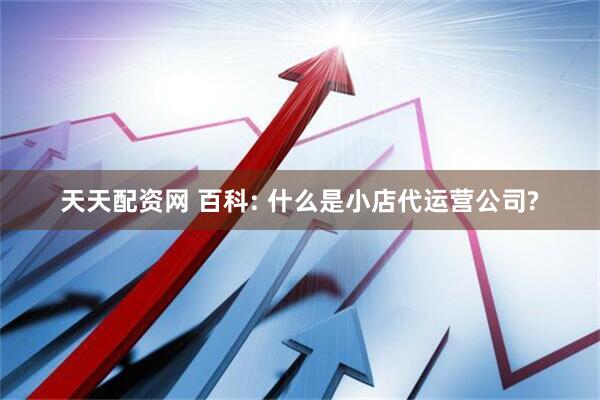 天天配资网 百科: 什么是小店代运营公司?