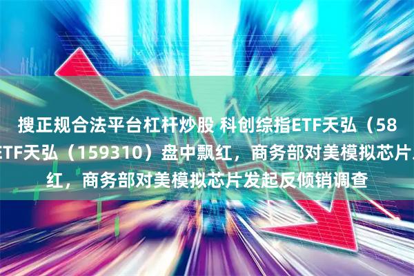 搜正规合法平台杠杆炒股 科创综指ETF天弘（589860）、芯片ETF天弘（159310）盘中飘红，商务部对美模拟芯片发起反倾销调查
