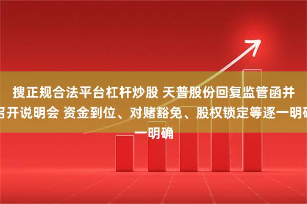 搜正规合法平台杠杆炒股 天普股份回复监管函并召开说明会 资金到位、对赌豁免、股权锁定等逐一明确